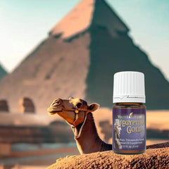 Egyptian Gold essence drops captured for relaxation and focus