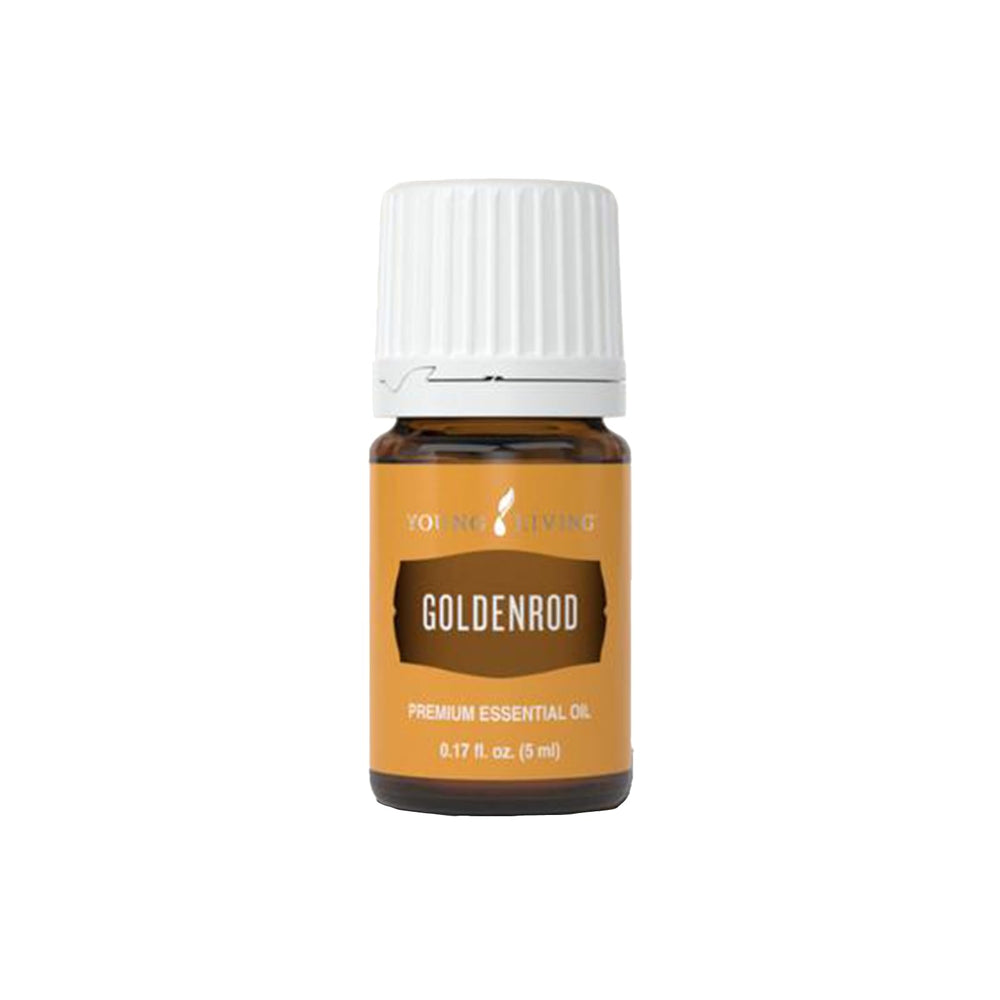 Young Living Goldenrod essential oil bottle ready for diffusion and aromatherapy.