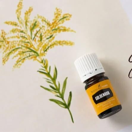 Goldenrod essential oil for DIY skincare blends in a small bottle.