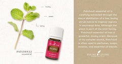 Young Living Patchouli aroma, uplifting mood during daily rituals and meditation.