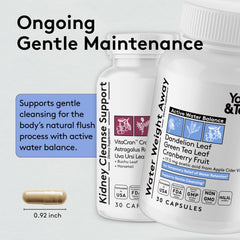 Youth & Tonic cranberry extract illustration highlights urinary balance support.