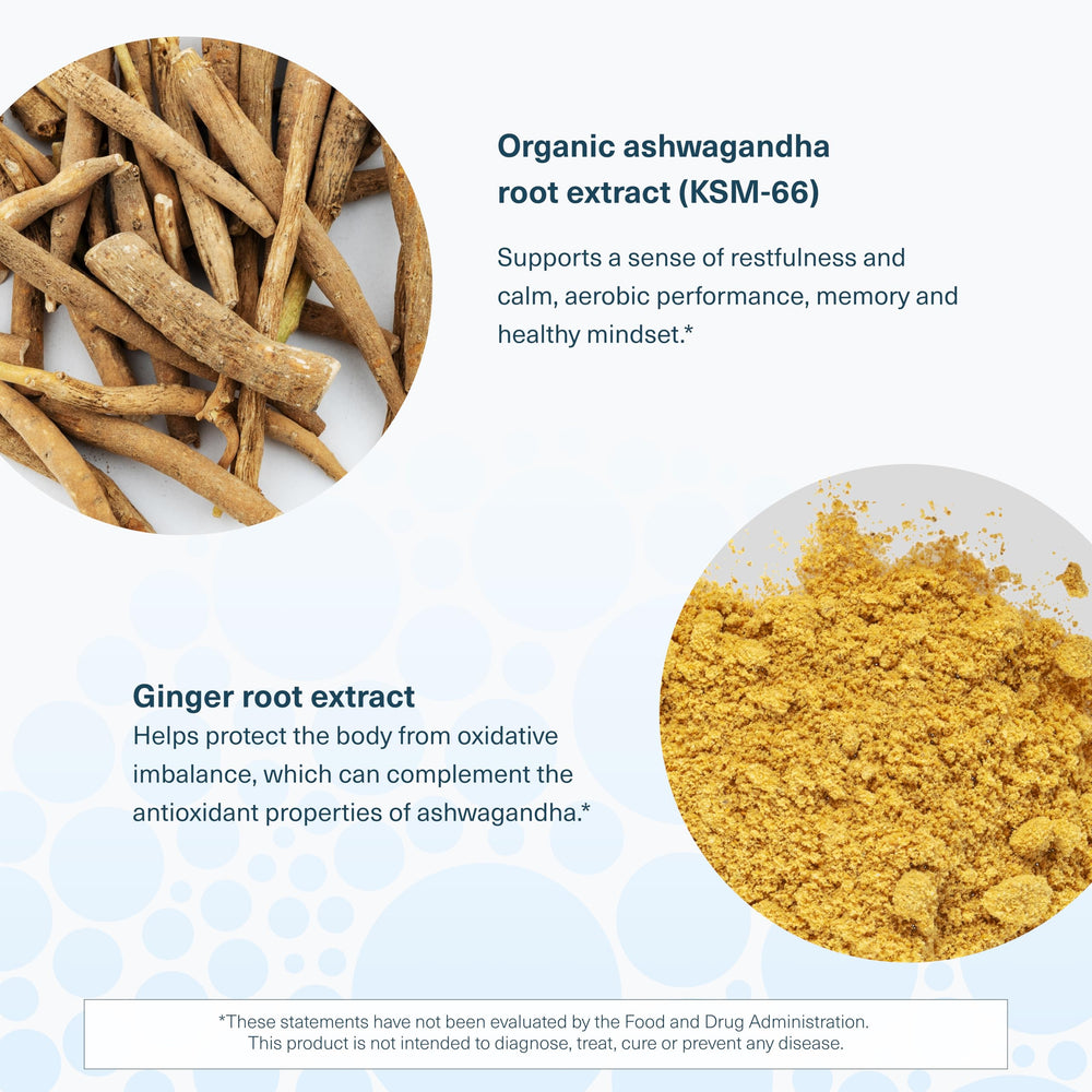 Youtheory Ashwagandha GMP-certified facility ensures quality manufacturing.