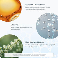 Youtheory capsules designed for smooth swallowing in daily routine.