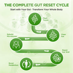Ypower Senna leaf ingredients close-up for natural gut support.