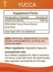 Yucca glauca dried root close-up, natural herbal source for daily health.