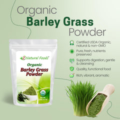 Z Natural Foods barley grass powder scoop ready for smoothie mixes.