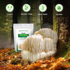 Z Natural Foods Lions Mane powder scoop, versatile topping for yogurt and tea.