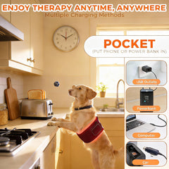 ZAEXAE dual-wavelength belt supports dogs, cats, and other common pets.