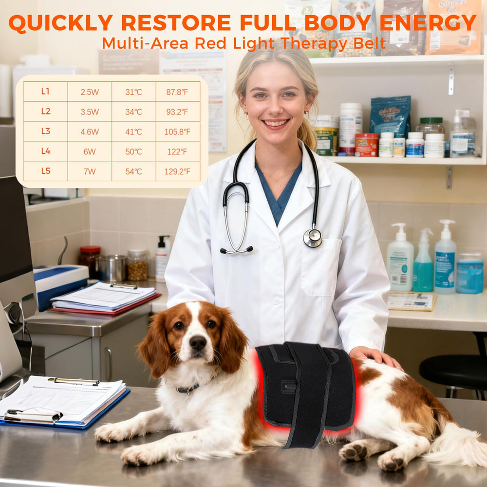 ZAEXAE belt for all-pets fit, versatile coverage for back, shoulders, and hips.