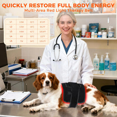 ZAEXAE belt for all-pets fit, versatile coverage for back, shoulders, and hips.