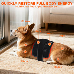 ZAEXAE device shown in compact design, portable therapy for travel and quick sessions.