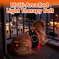 ZAEXAE red light therapy belt foldable soft-material design for easy storage.