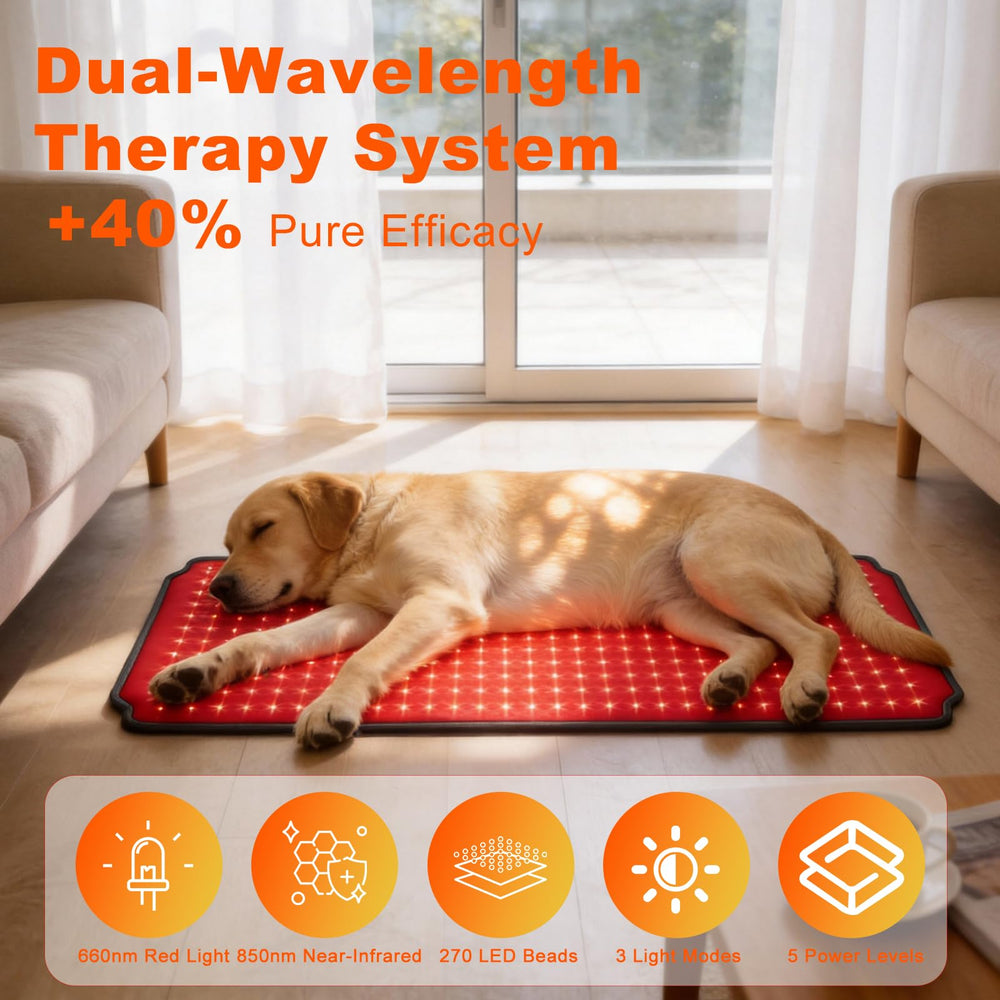 ZAEXAE red light therapy pad wraps around hips for versatile pet relief