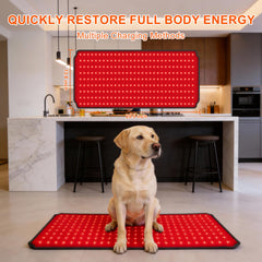 ZAEXAE red light therapy pad supports dog thigh comfort during use