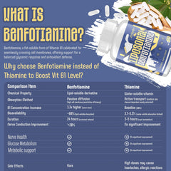 Zaigon Benfotiamine capsules-closeup showing compact vegan capsules for convenient daily use.