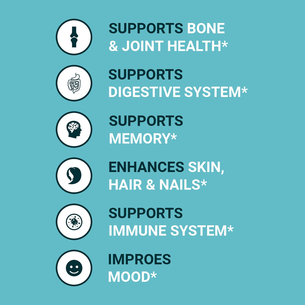 Zammex bone broth powder in shaker for quick mixes