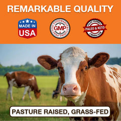 Zammex USA-made cGMP facility badge beside bone broth powder.