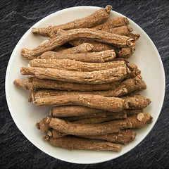 Zen Ginseng small long root showing a compact shape suited for quick prep and focus.
