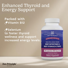 Zen Principle probiotic-rich tripe ingredients support healthy gut microbiome