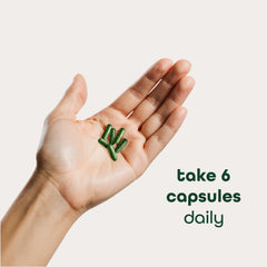 Zena Nutrition Organic Super Greens product image emphasizing zero added sugar.
