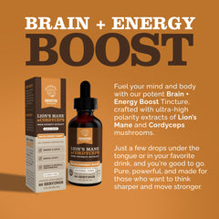 Zenith Nootropics Lions Mane Cordyceps label closeup for ingredient clarity
