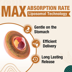 ZenixZephir plasmalogen capsule with glossy coating indicating premium cognitive support.