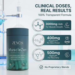MuscleZen on retail shelf communicates accessible, science-backed muscle support.