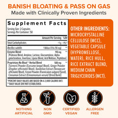 Zenwise No Bloat turmeric-ginger-dandelion scene emphasizing holistic digestive support.