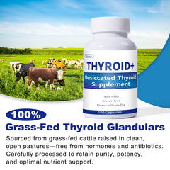 Zhizaiql grass-fed bovine thyroid label highlights natural ingredients.