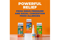 Zicam Intense Sinus Relief quick-drying spray supports day-long comfort