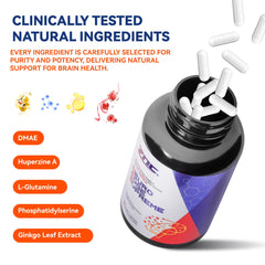 ZNC brain supplement Alpha-GPC and Ginkgo visual highlighting mental clarity support.