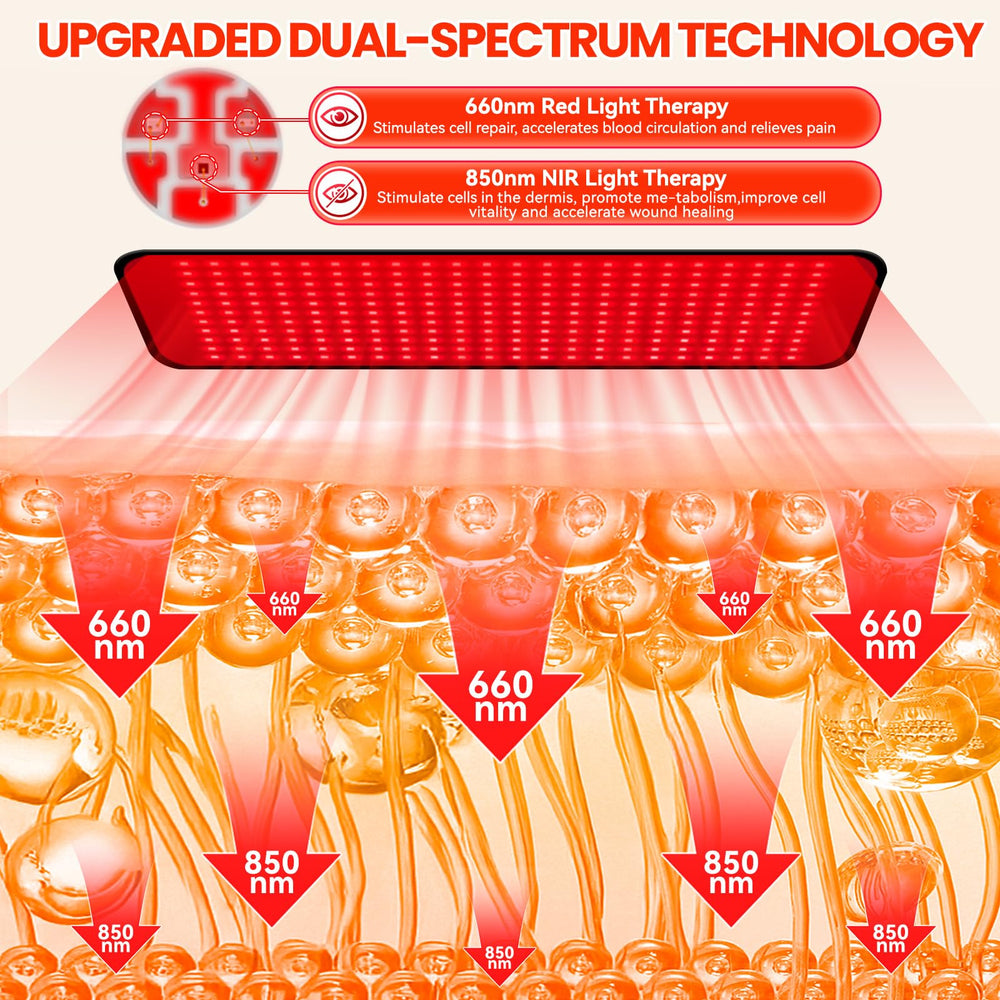 ZonGym red light therapy pad abdomen use enables midsection relief sessions