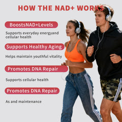 Zoone NAD ingredient blend visual featuring NR, Resveratrol and PQQ