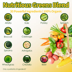 Zotreval Daily Greens ingredients list showcases leafy greens and vitamins.