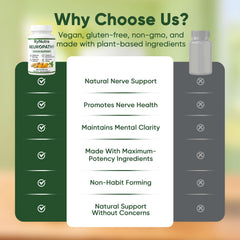 Ingredient visual suggesting a clean, plant-based formula for overall well-being.