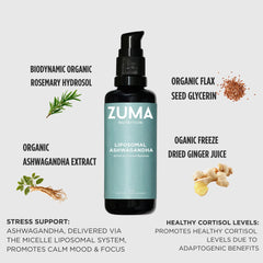 Zuma Nutrition vegan non-GMO formulation label emphasizes purity and transparency