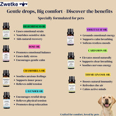 ZWETKE Chamomile oil for relaxing, pet-friendly home