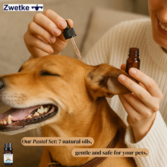 ZWETKE Helichrysum oil with creamy botanical depth