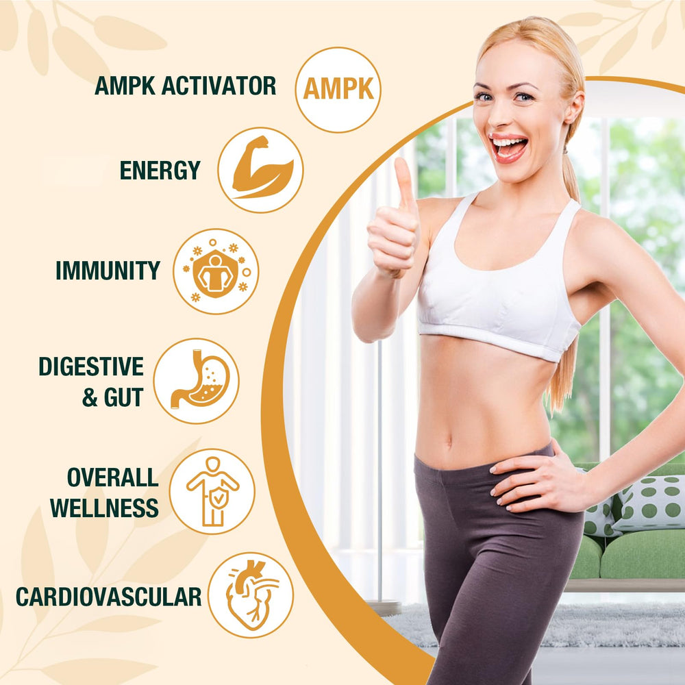 Zypherionixis prebiotics and ginger addition aids gut-friendly daily intake
