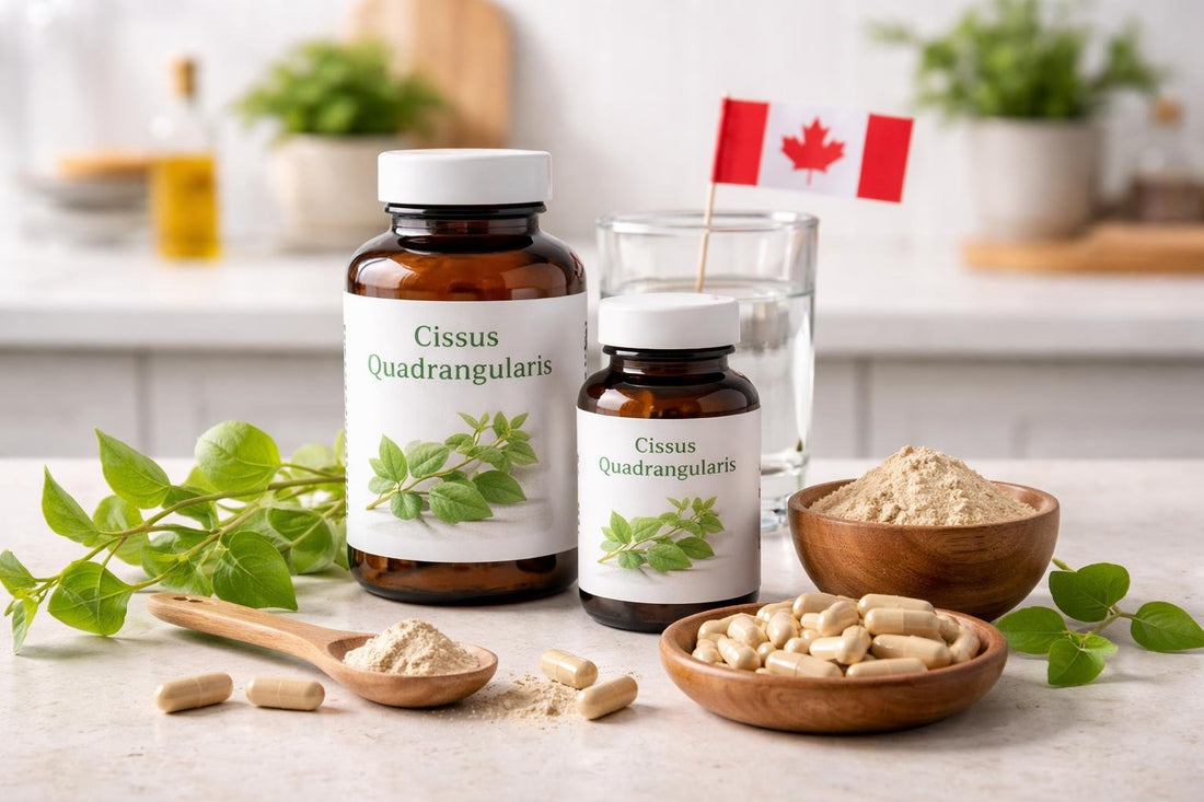 Cissus quadrangularis capsules and powder guide for Canadians