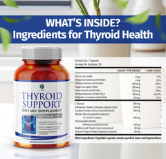 1 Body thyroid support ingredient icons illustrating minerals and herbs for balanced wellness