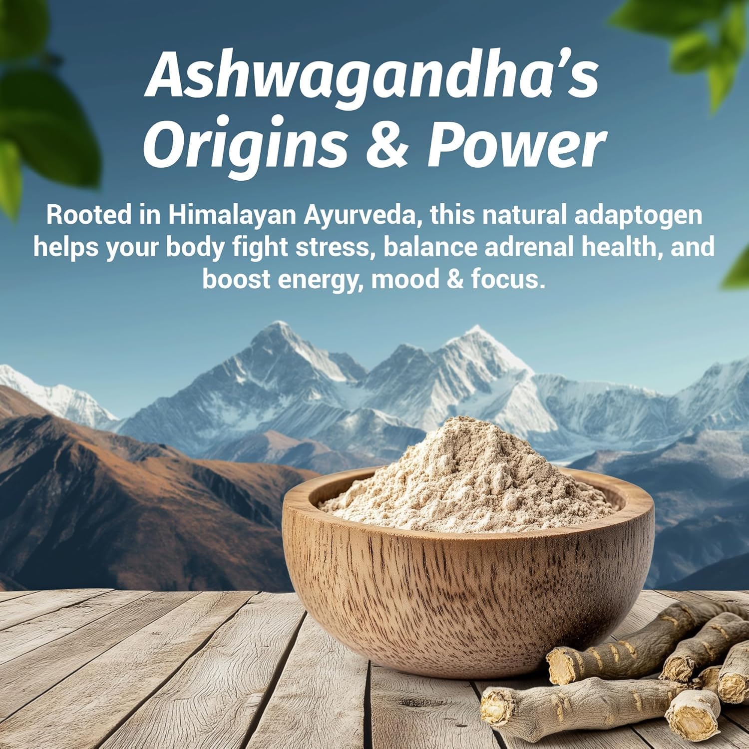 1Body Ashwagandha Complex capsules closeup highlights easy daily dosage