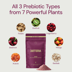 38TERA DMN smoothie serving shows daily gut-friendly addition.