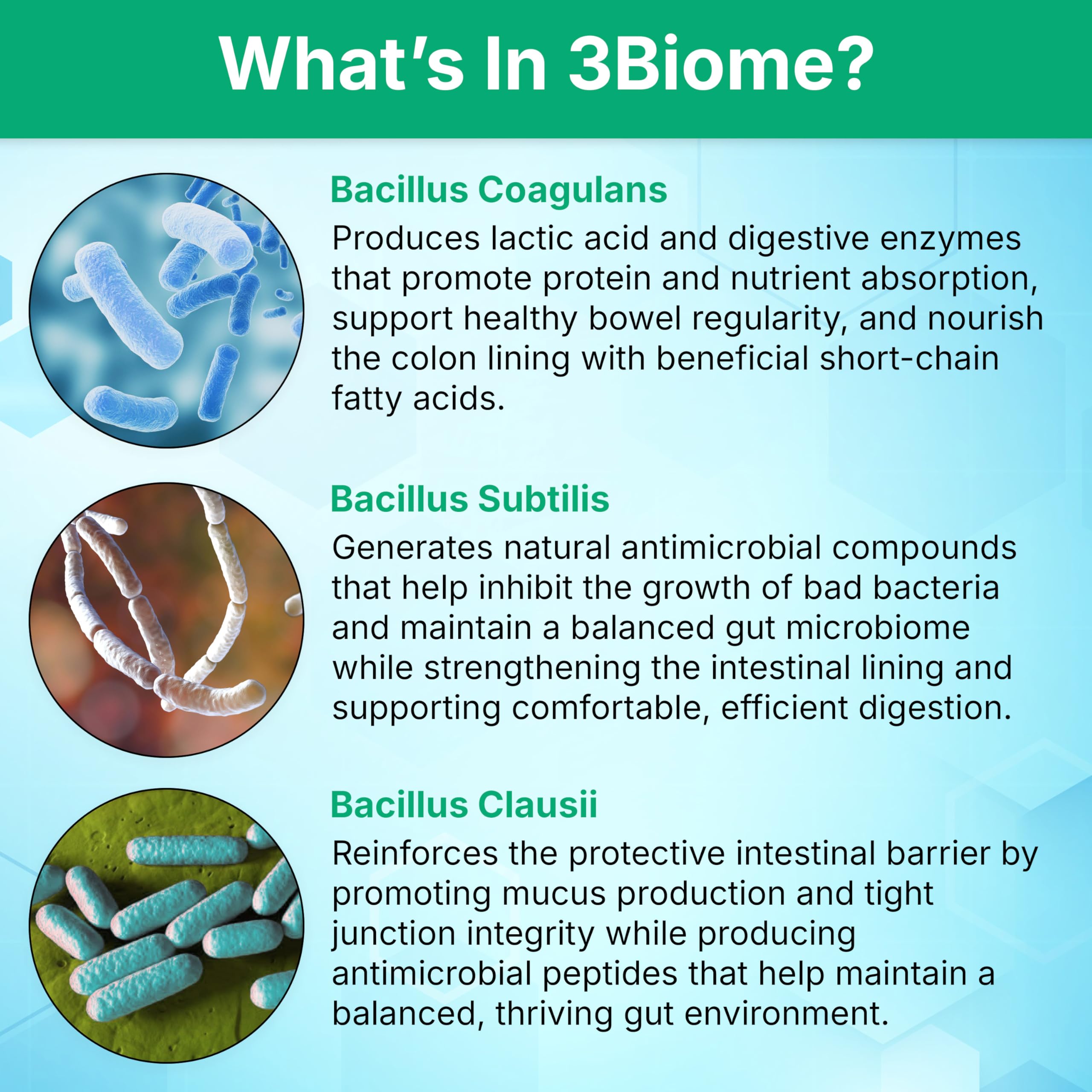 3Biome digestive balance graphic illustrating gentle GI support.