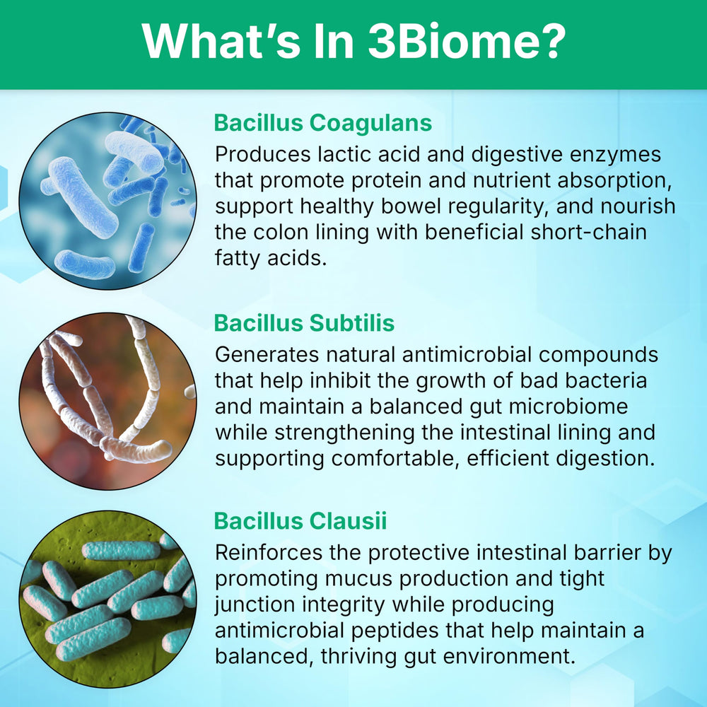 3Biome digestive balance graphic illustrating gentle GI support.