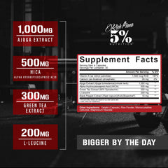 5% Nutrition Rich Piana BiggerByTheDay capsules close-up for training days