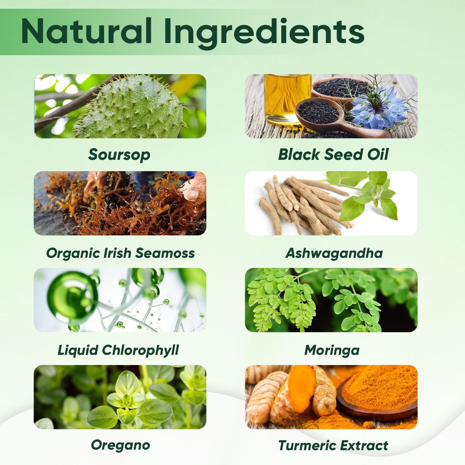 Aacnre QIZFYZZ moringa and ashwagandha visual emphasizes balanced energy