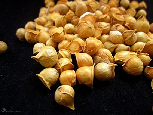 AAYURVEDA Snow Mountain Garlic whole bulbs for flavorful cooking and seasoning.