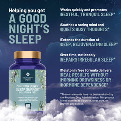 Close view of magnesium, GABA, and glycine ingredients in Abundant Earth sleep aid
