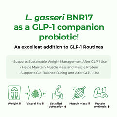 AceBiome BNRThin S30 label graphic showing Lactobacillus gasseri BNR17.